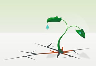 生活常识，提升生活质量的无形力量