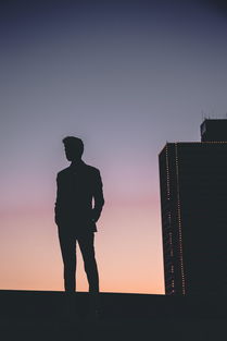 拥抱生活，让爱在每个瞬间绽放